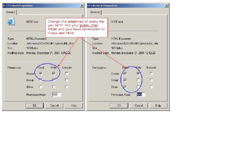 File Properties Dialog Box