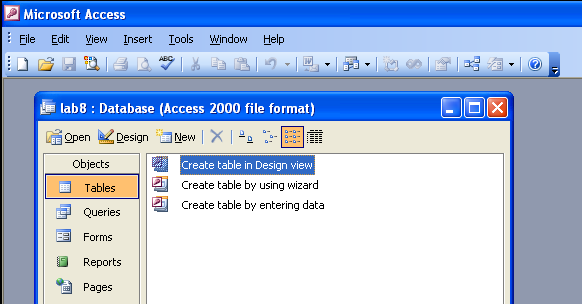 Newly opened database in MS Access