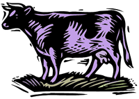 Purple Calf