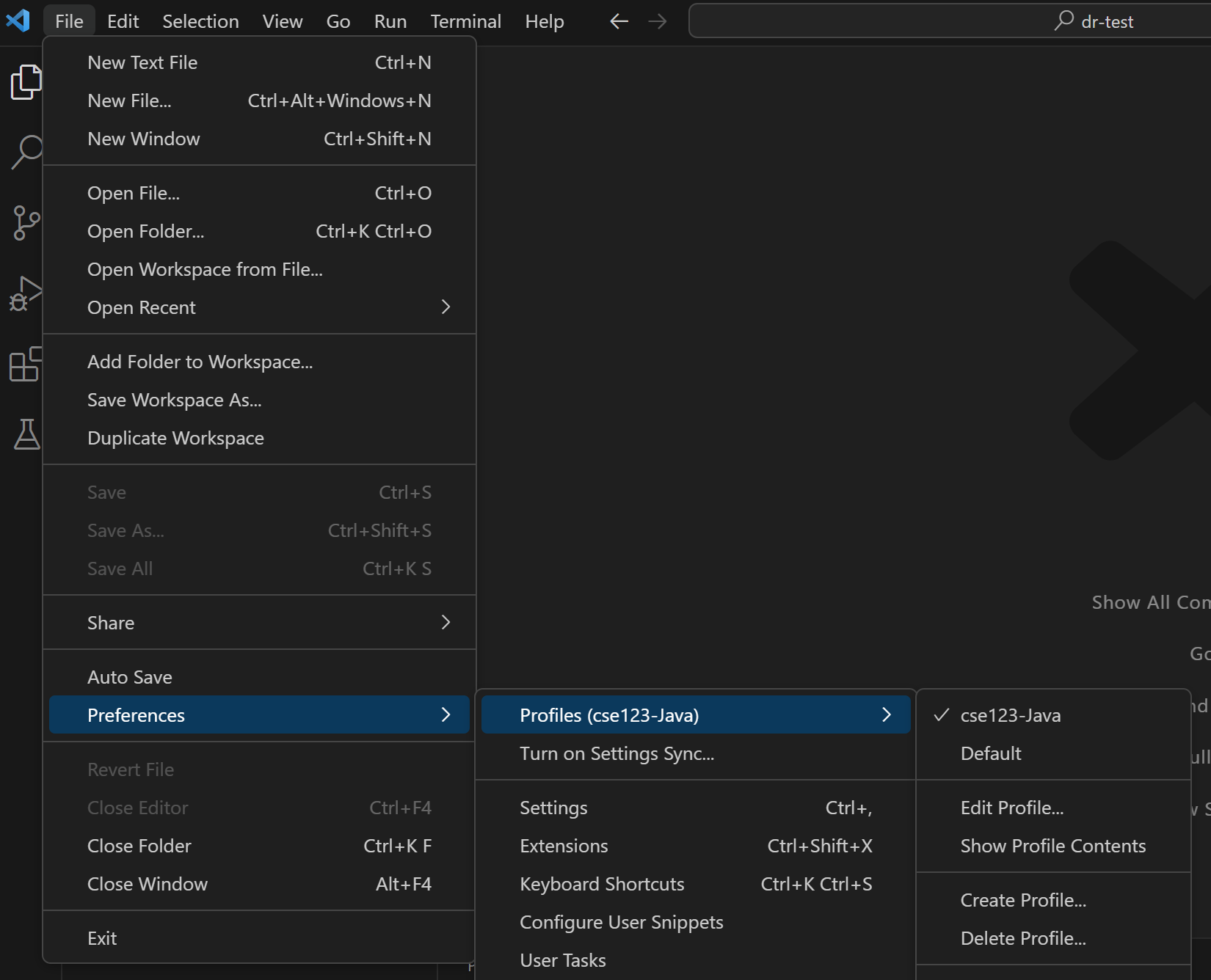 VSCode menu showing the profile is set to cse123-Java