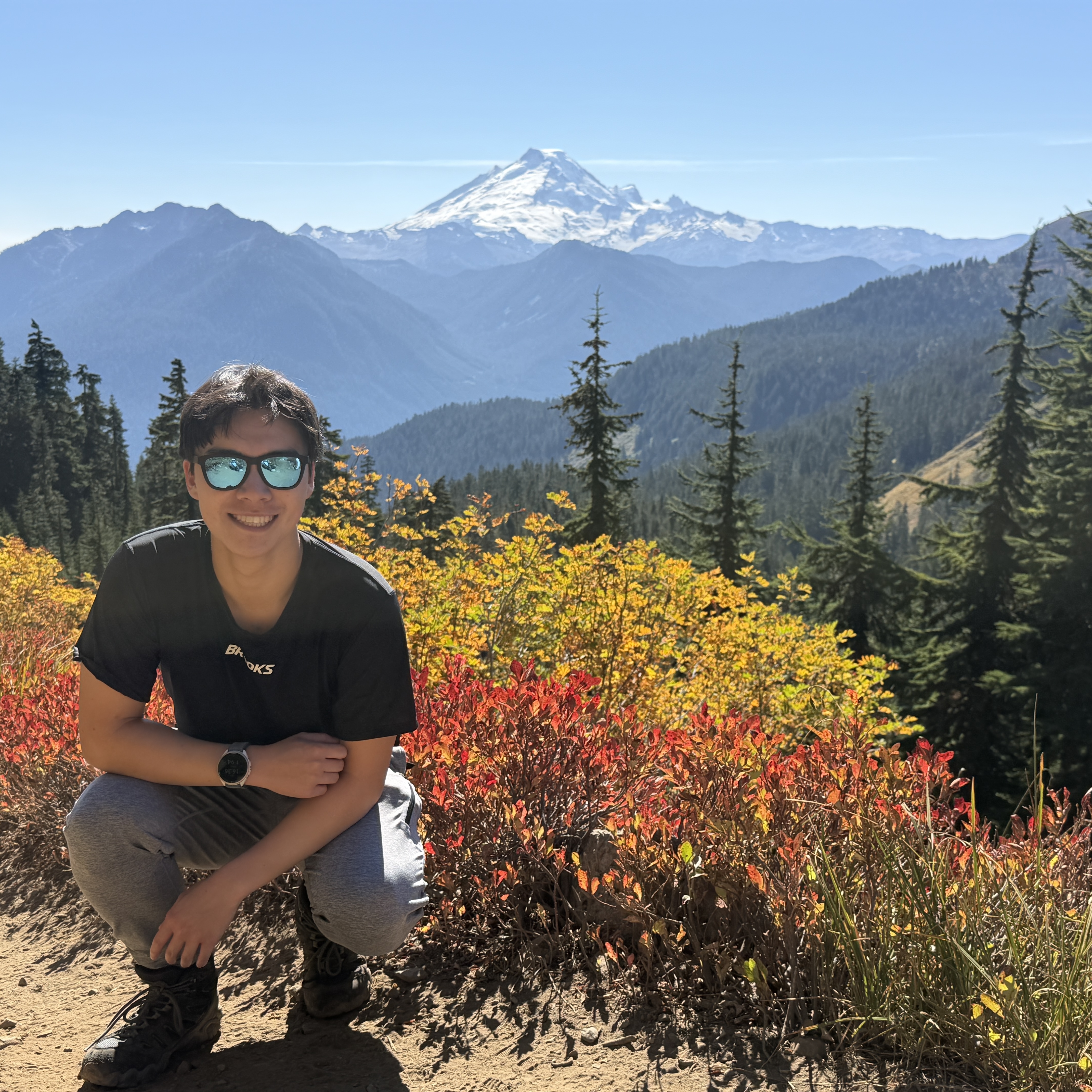 An outdoor scene with red and yellow flowers, an alpine tree-line, and Mount Baker in the background.