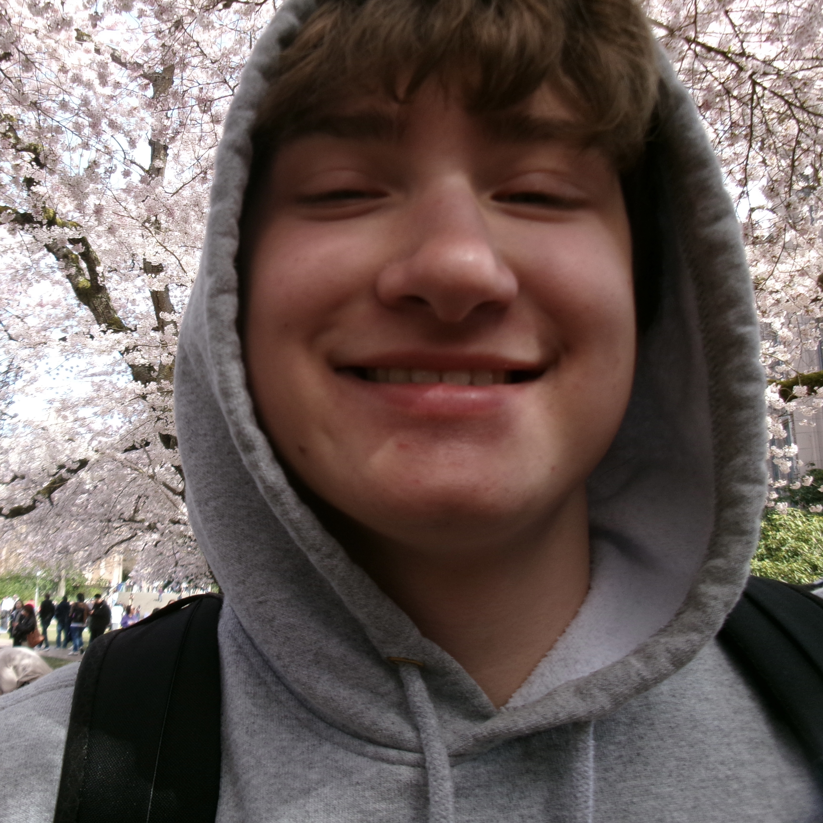 Photo of Henry Ehrnman smiling in front of the cherry blossoms in the quad.