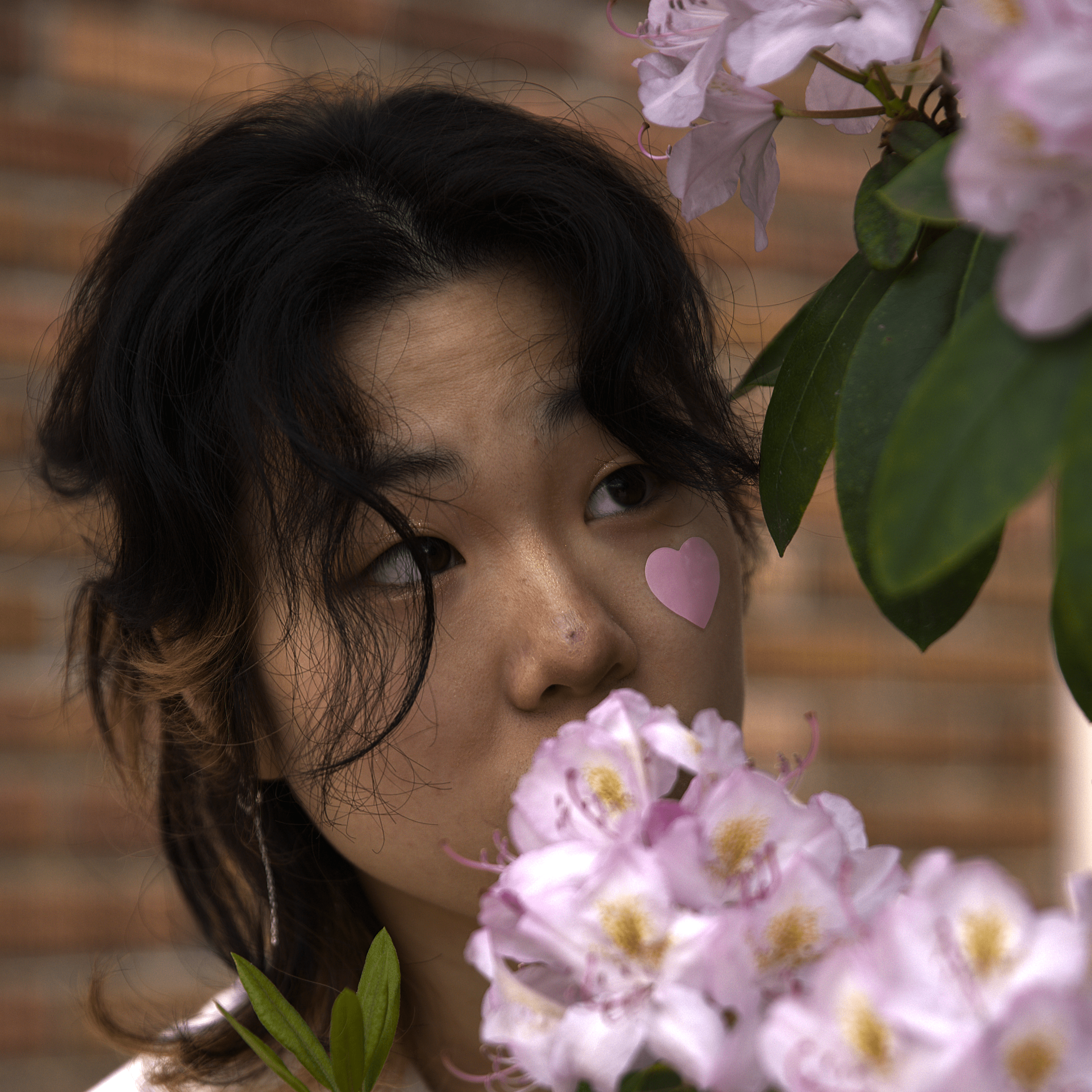 Photo of Ivy Wang