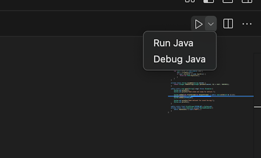 The location of the Debug Java button when clicking on the carrot next the regular run button on the top left of VSCode
