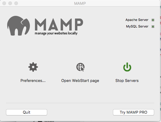 MAMP MYSQL