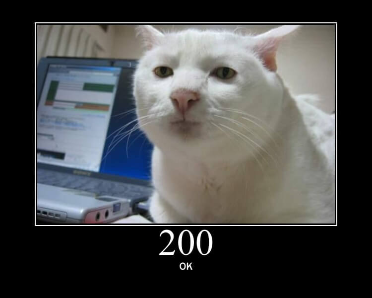200 OK