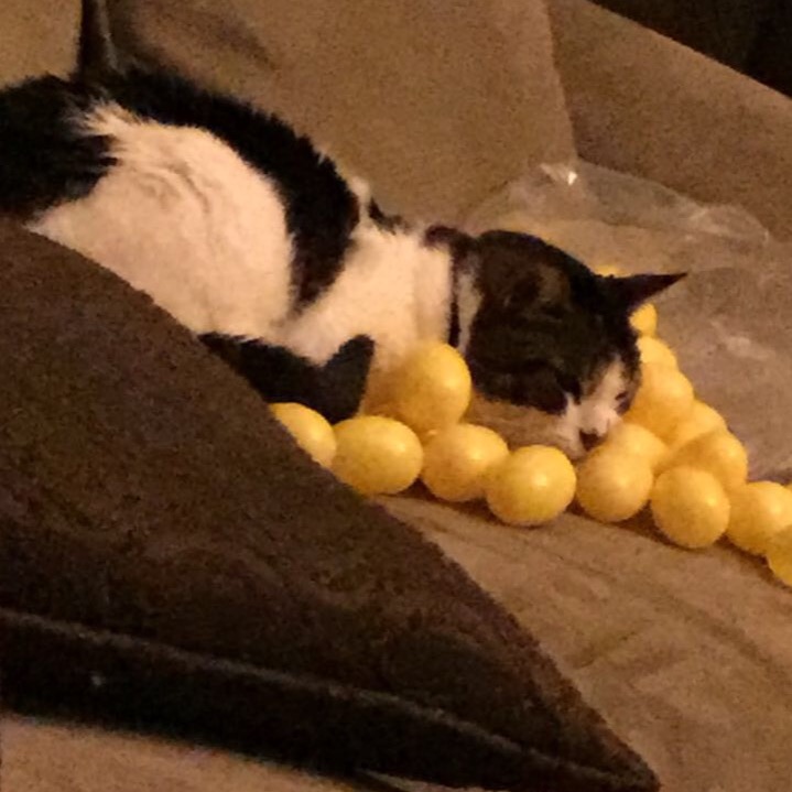 thats not a blanket
