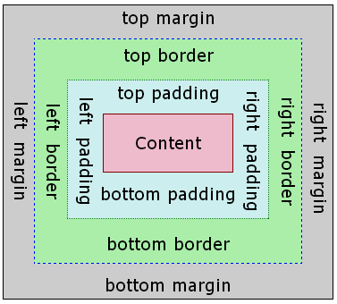 the box model