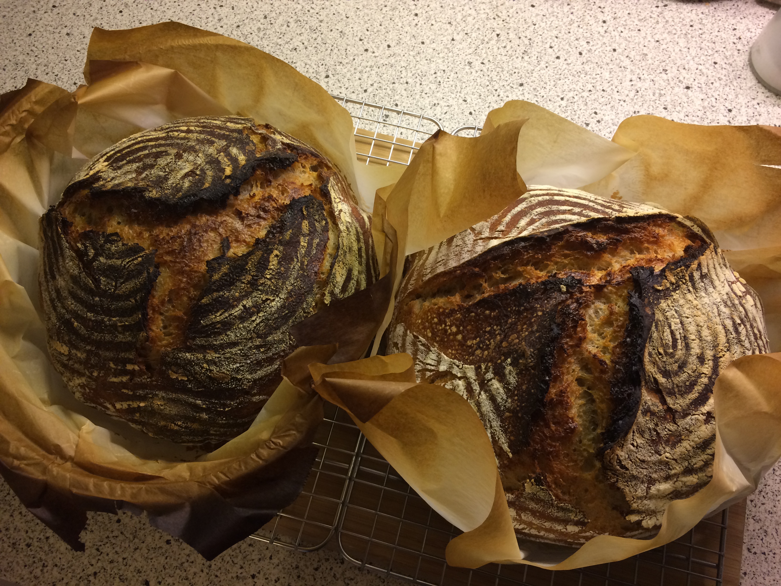 two beautiful bread boules