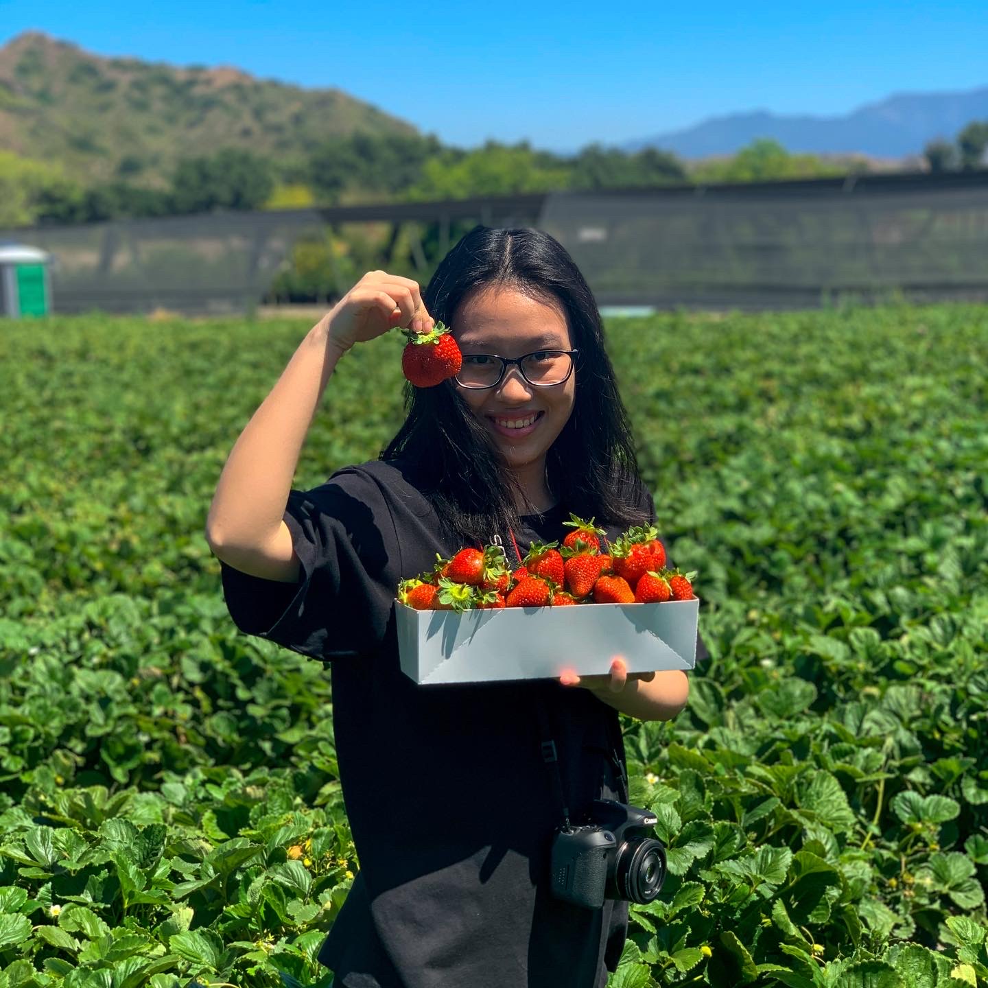 me in a strawberry field.