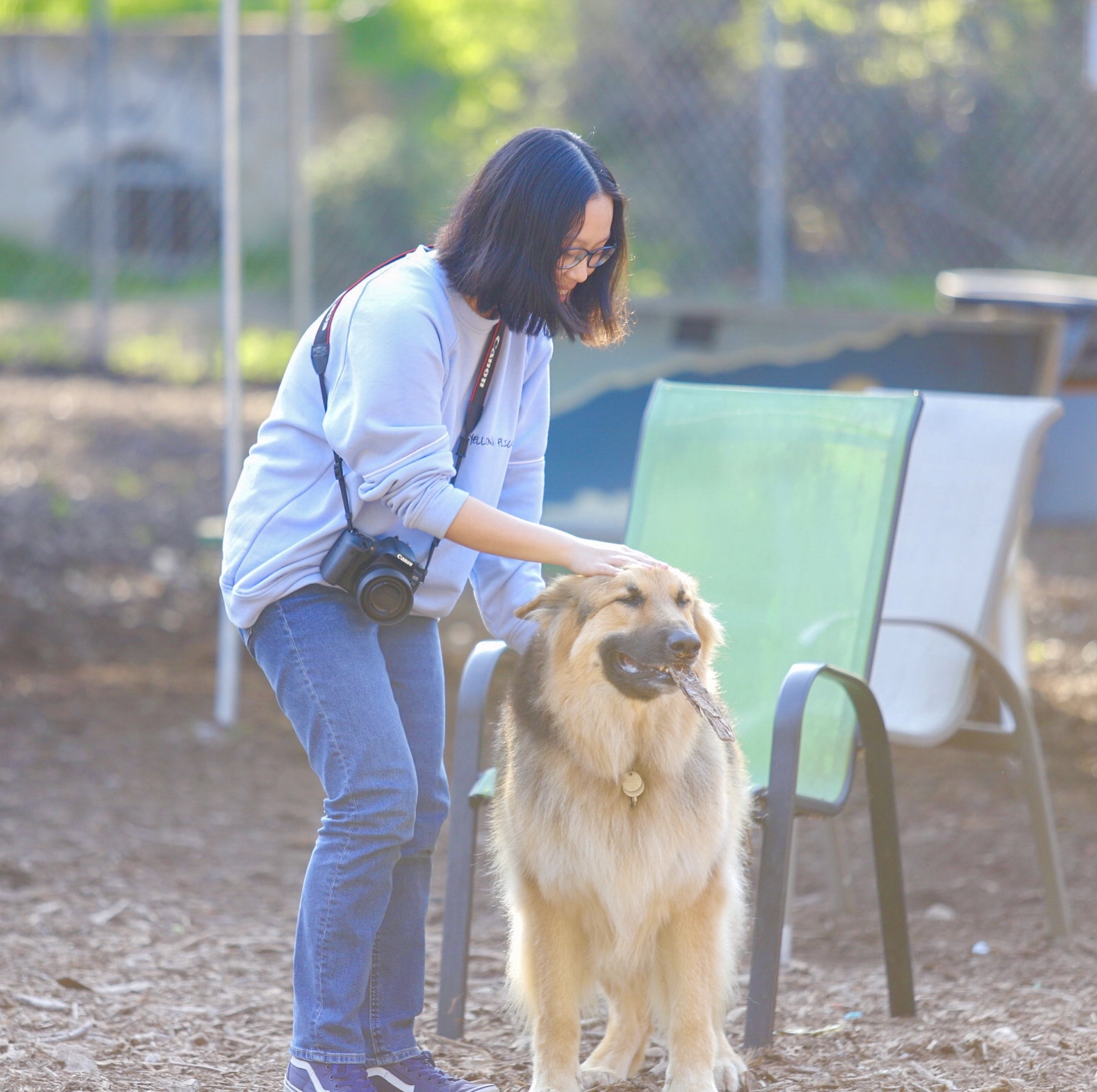 me trying to take a picture of a random dog