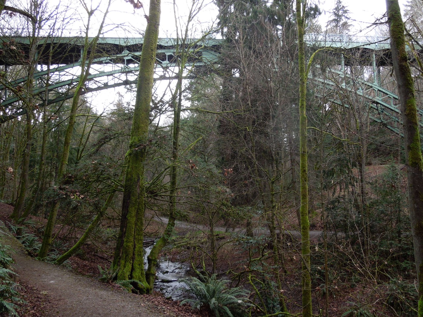 Ravenna Ravine by Cowen park