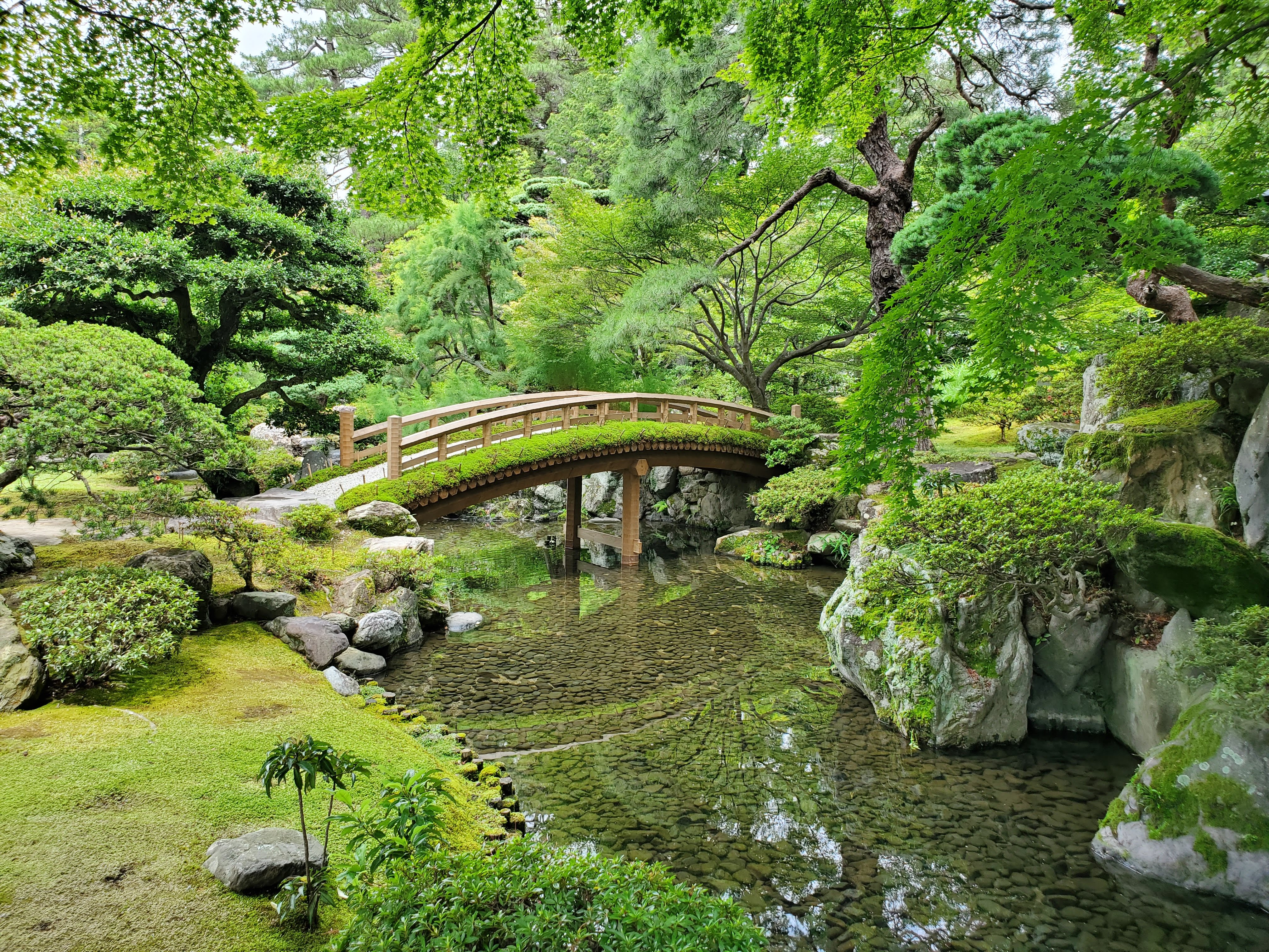 Japanese garden