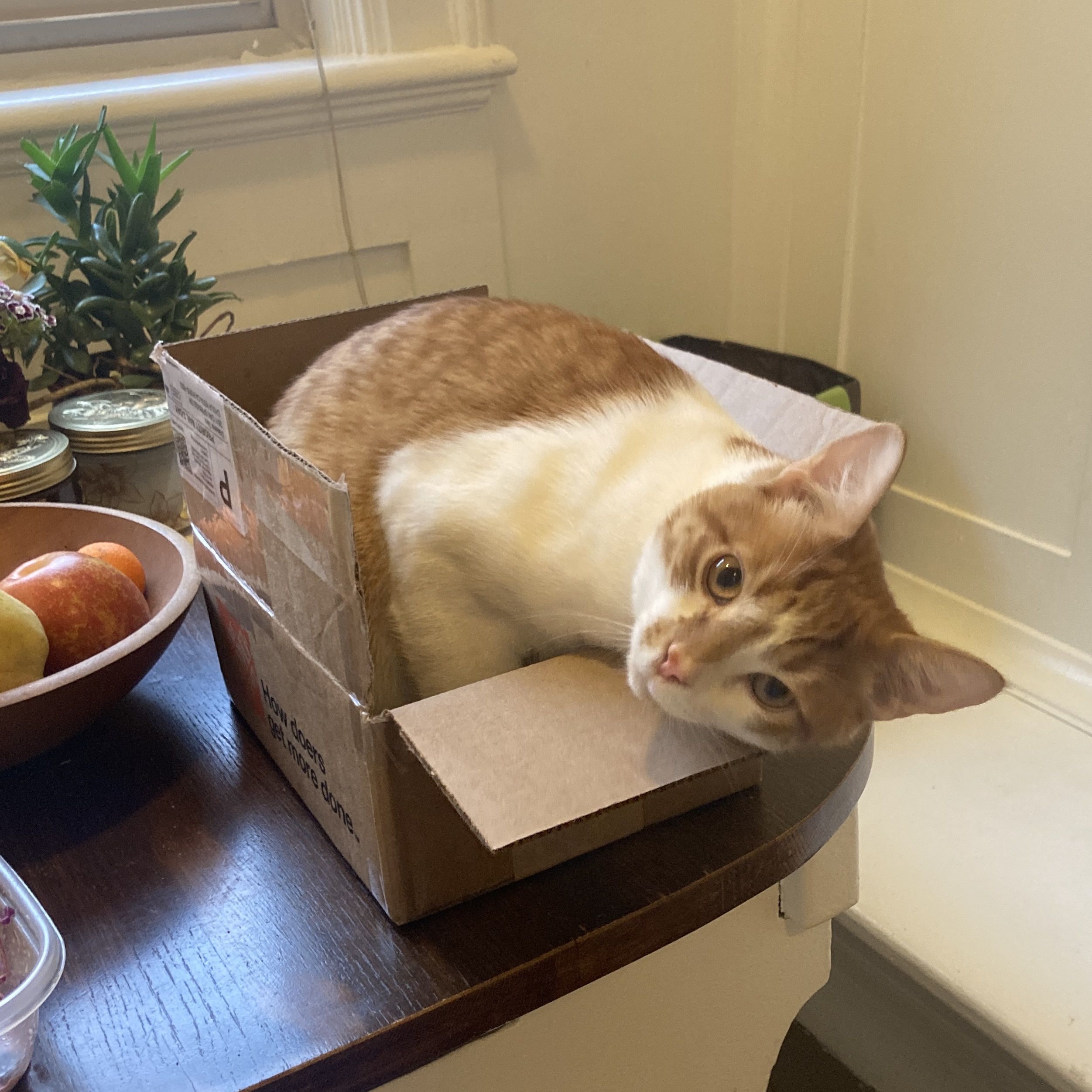 Caravaggio in a box