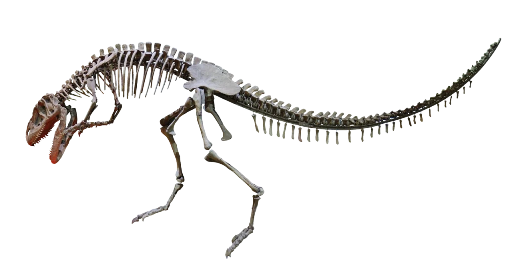dinosaur skeleton