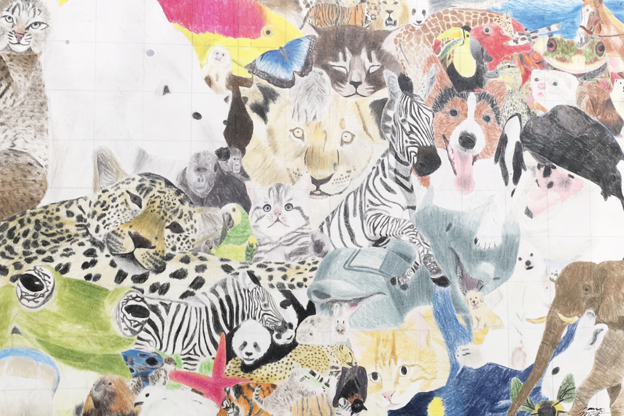 drawing of animal photo collage