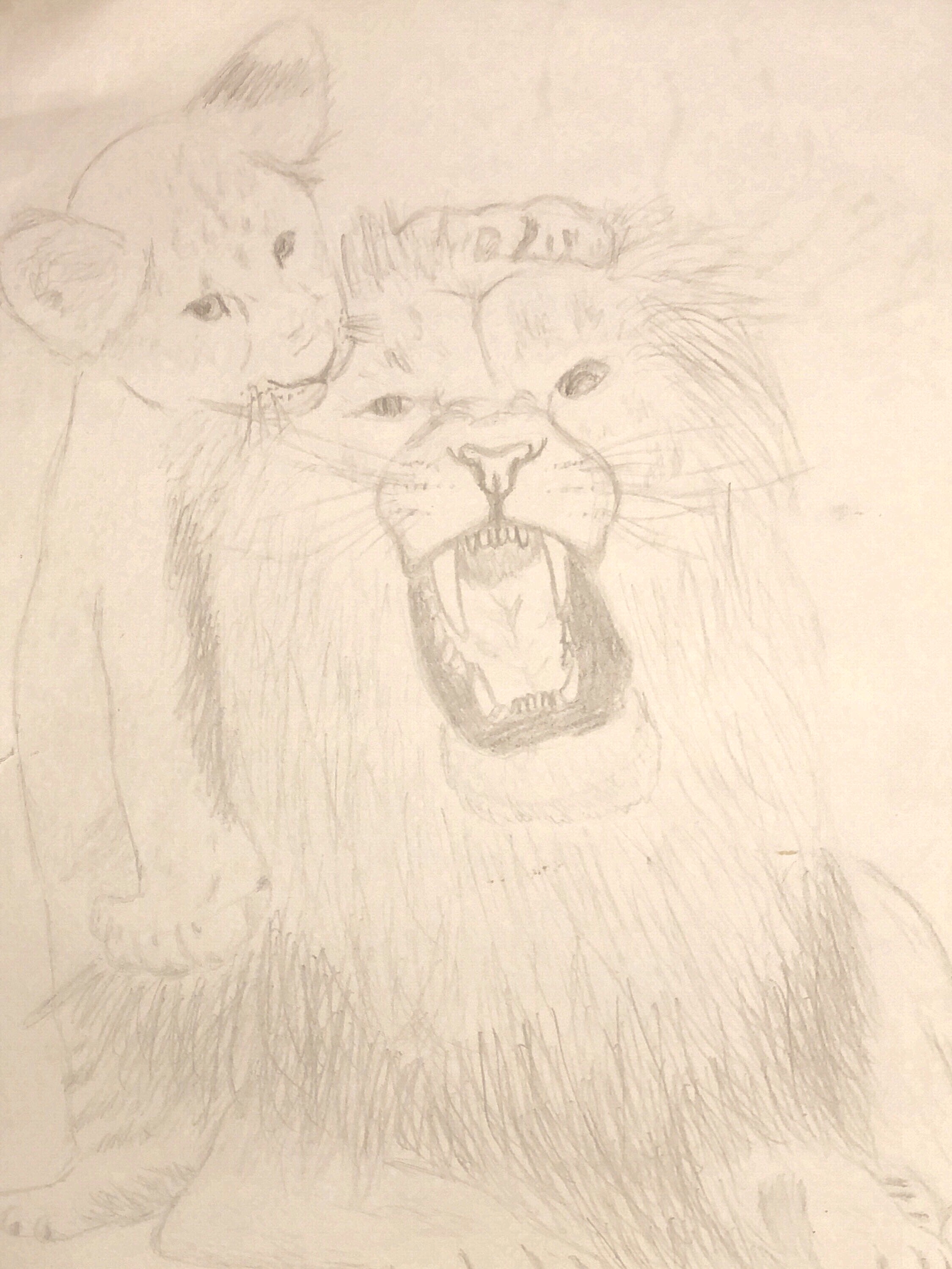 pencil drawing of lion and cub
