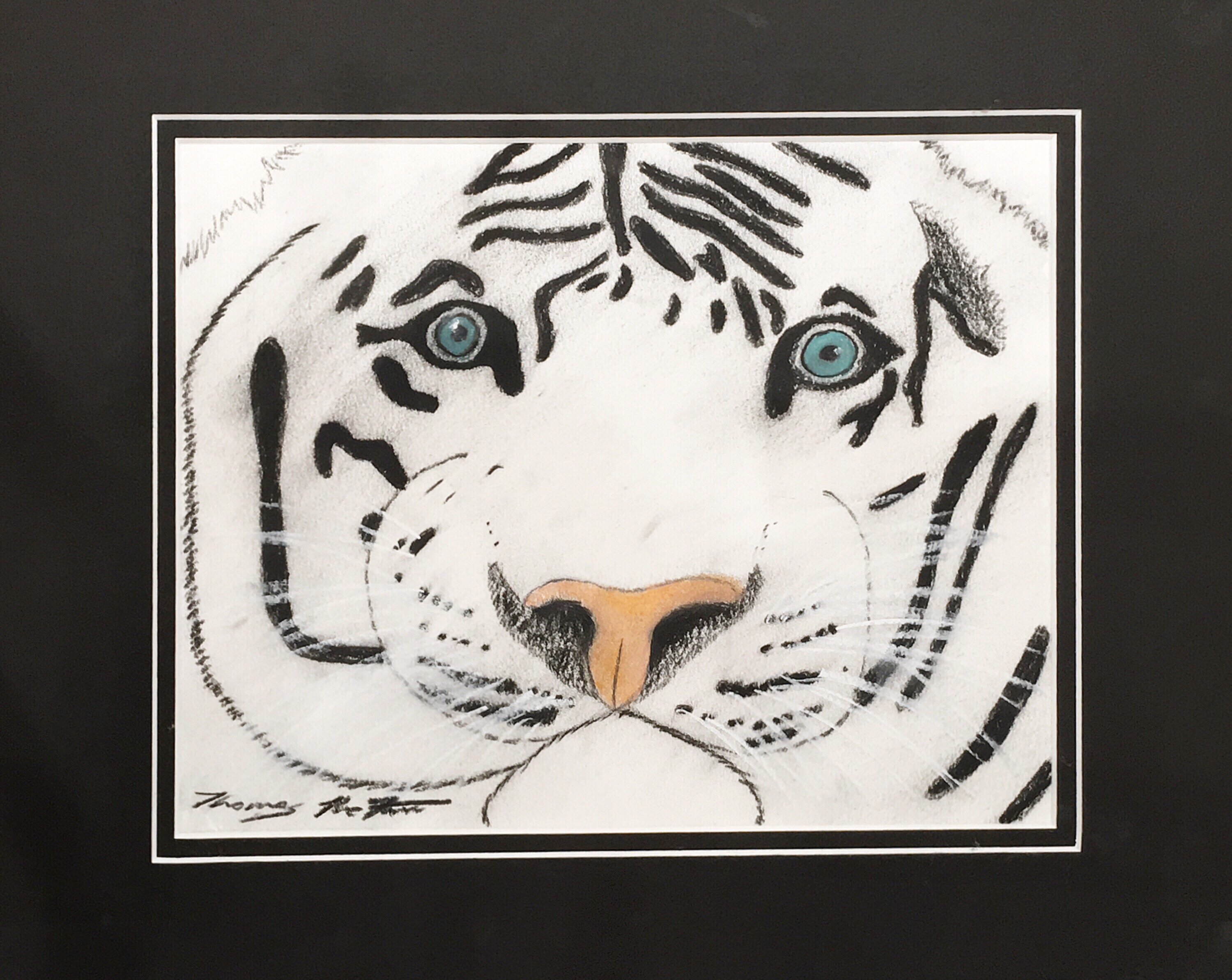 charcol and pastels drawing of tiger