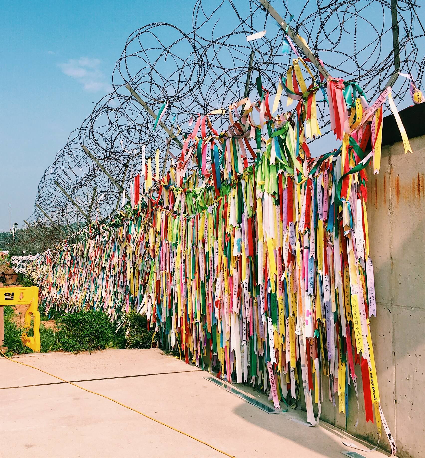 A barbed-wire fence with thousands
              of colored ribbons tied onto it.