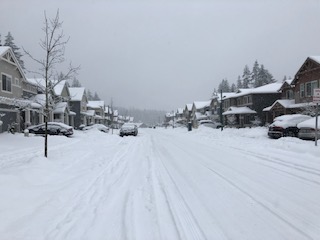 My neighborhood in the Snowpocalypse 2019