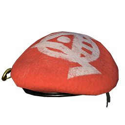 picture of a cute beret