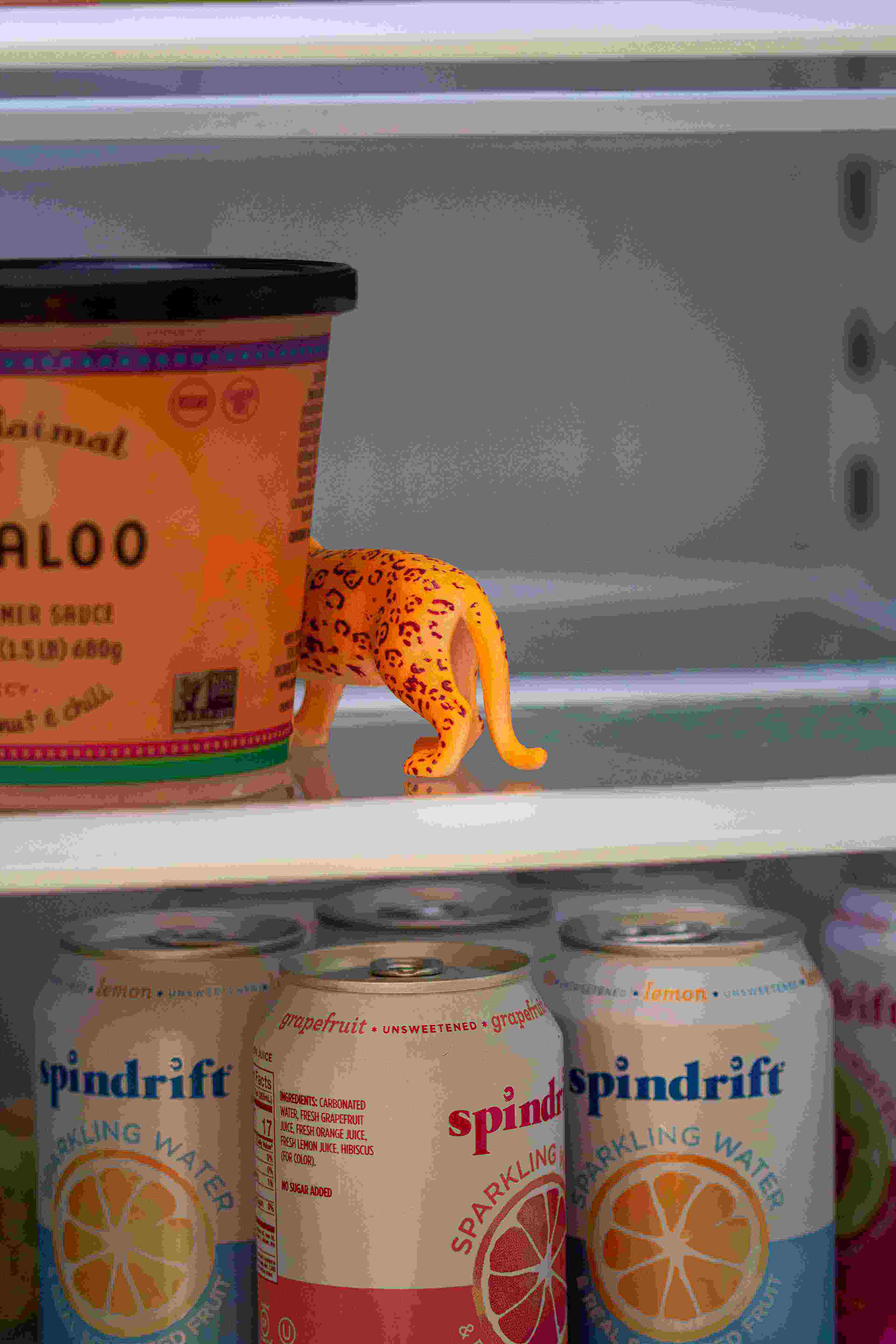 Toy leopard in the fridge