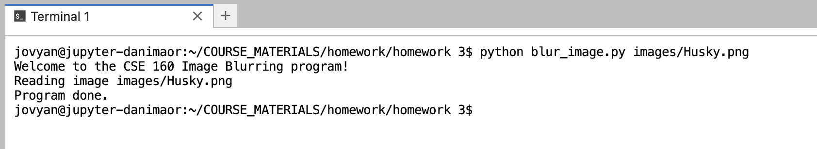 Initial Homework 3 output with the terminal output: "Welcome to the CSE 160 Image Blurring program! Reading image images/Husky.png Program done.