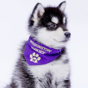 Photo of Katie Gower