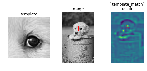 Example template_match result on puppy looking for eye