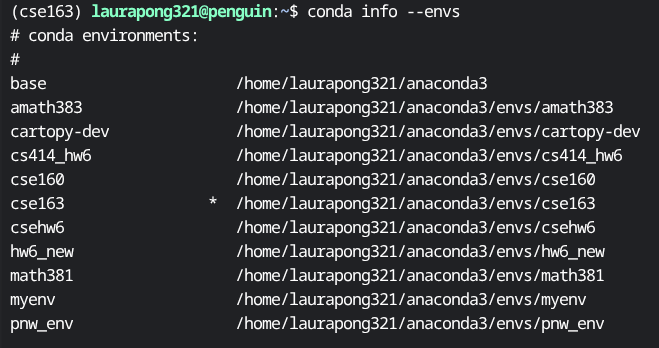 conda info --envs shows the 163 environment with an asterisk