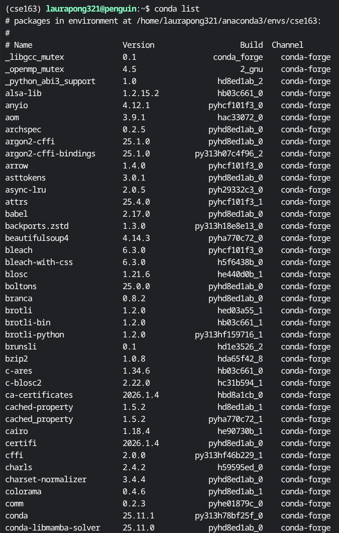 conda list shows multiple libraries