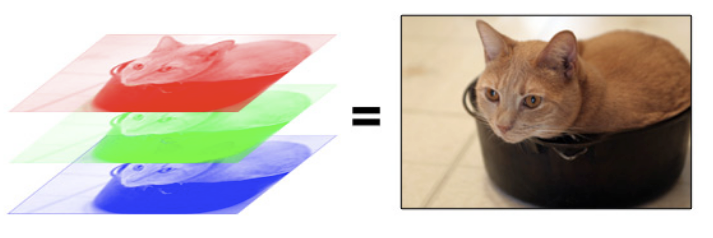 layers of red, green, and blue cat images that combine to form a color image of a cat