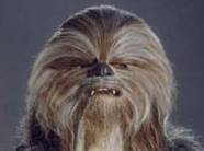 chewy's head