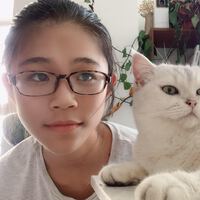 Zoey Shi profile pic