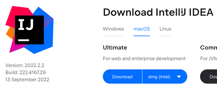 The macOS IDEA installation option.