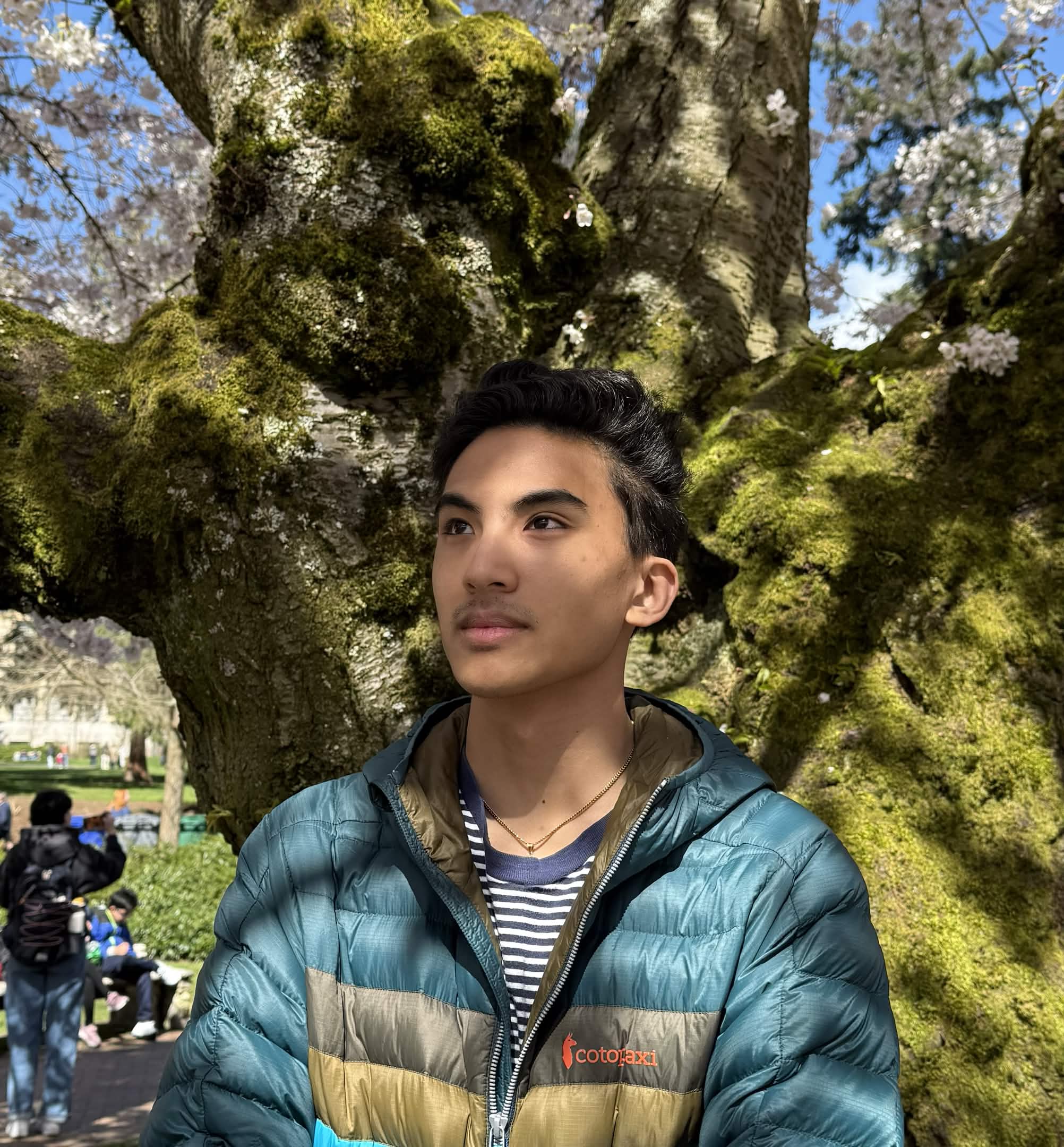 A profile picture of Raio, at the cherry blossoms looking out into the sky.