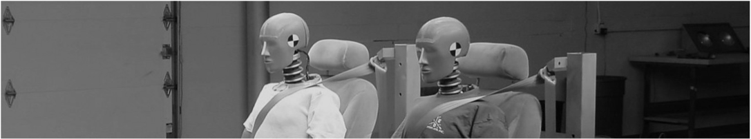 :img A picture of crash test dummies ,90%, width
