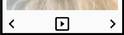 :img Pet Gallery buttons at 64dp,100%,width