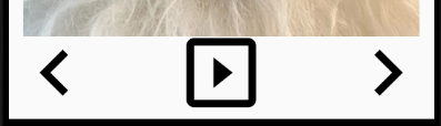 :img Pet Gallery buttons at 80dp,100%,width