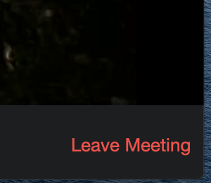 :img Old zoom leave button which looks only like text but really is an infinite edge, 30%, width