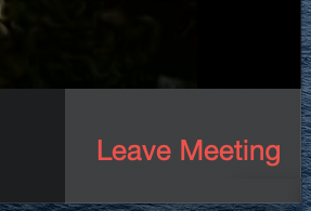 :img Old zoom leave button which displays its infinite edge/larger button when hovered over, 30%, width