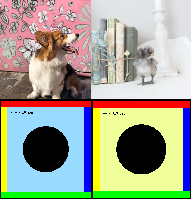 Two animal pictures and their corresponding placeholder images