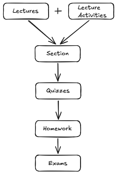 Flow graph that shows how lectures + lecture activities flow into section, which flow into quizzes, with flow into homework, which flow into exams.