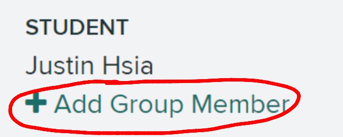 Beneath your student name is a link with the text '+ Add Group Member'