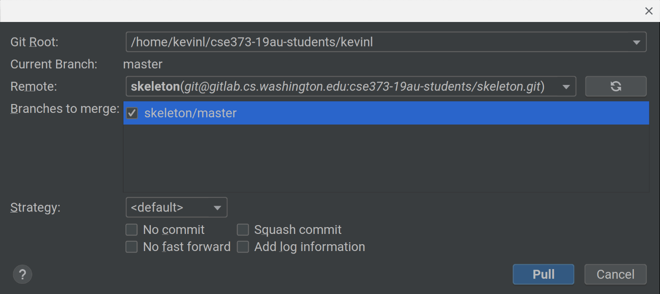 IntelliJ Git Pull Skeleton