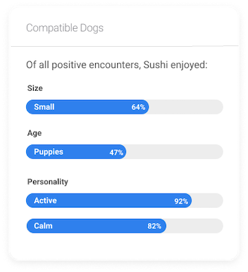 conpatible dog data analysis