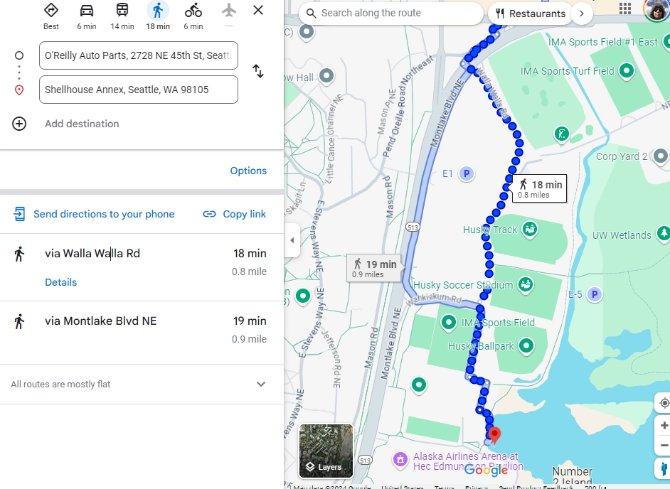 A Google Navigation result, which walks along a road instead of a nearby nature path