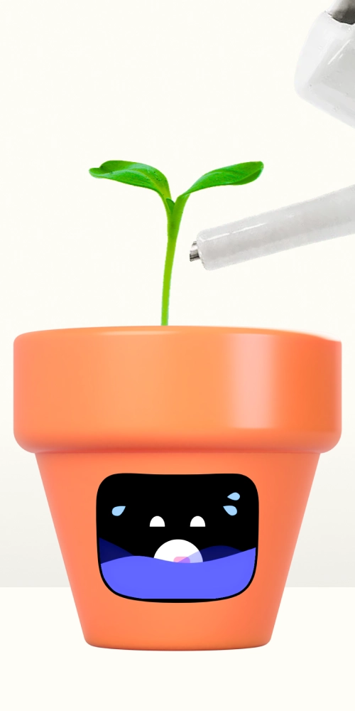 Pot Pal being watered.