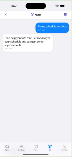 Early Nero chat screen with minimal guidance and no explanation of what the assistant can do.