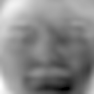 eigenface 1